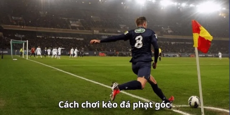 Chiến Thuật Đầu Tư Kèo Phạt Góc Bóng Đá Hiệu Quả Nhất