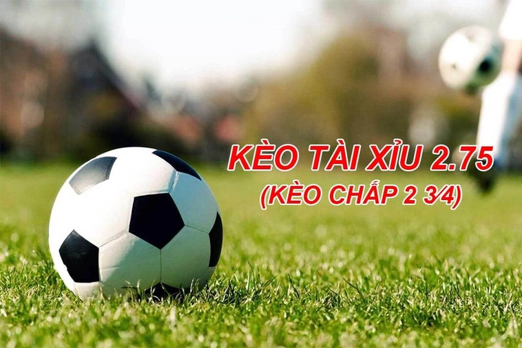 Hướng Dẫn Cách Chơi Kèo 2.75 Tài Xỉu Chi Tiết Nhất