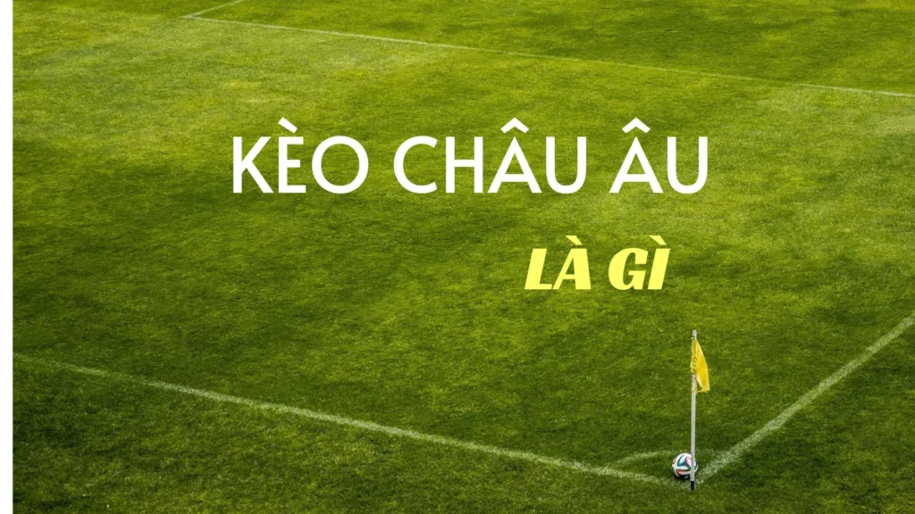 Kèo Châu Âu Và Cách Đọc Tỷ Lệ Thắng Hòa Thua Chính Xác