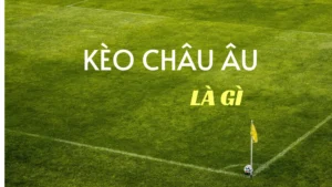 Kèo Châu Âu Và Cách Đọc Tỷ Lệ Thắng Hòa Thua Chính Xác
