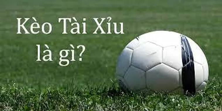 Tìm Hiểu Kèo Tài Xỉu Và Cách Đọc Chỉ Số Bàn Thắng Chuyên Nghiệp