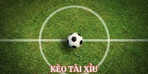 Nghệ Thuật Phân Tích Kèo Tài Xỉu Bóng Đá Chuyên Nghiệp