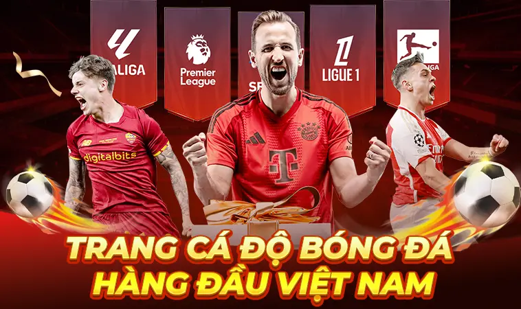 Review Đánh Giá Trang Cá Độ Bóng Đá Uy Tín: Tiêu Chí & Sự Thật 2026