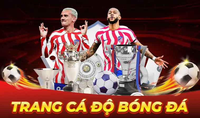 Review Đánh Giá Trang Cá Độ Bóng Đá Uy Tín: Tiêu Chí & Sự Thật 2026