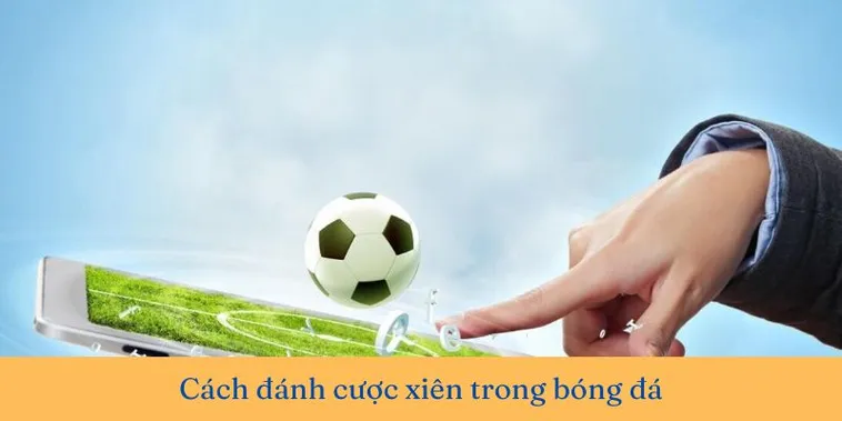 Giải Mã Kèo Xiên Trong Bóng Đá Và Nghệ Thuật Kết Hợp Tỷ Lệ